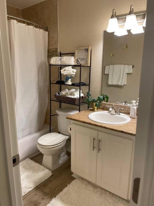 Beautiful/Spacious 2 Bedroom Houston Near Galleria Exterior photo